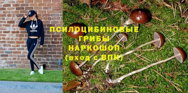 молекула духа Баксан